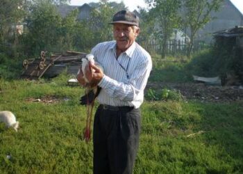 Kurklietis Aleksandras Pucelis savo sodyboje negali išsikelti gandralizdžio, nes trukdo elektros linijos, tačiau sužeistus gandrus gelbėja