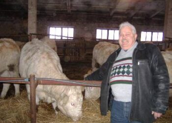 Kadangi ūkininkas, bendrovės direktorius ir kasininkas Algirdas Kuoja teisme neatgailavo, jam skirta reali laisvės atėmimo bausmė. Jono JUNEVIČIAUS nuotr.
