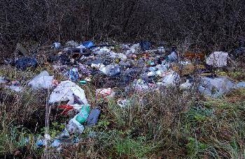 Miškelis paverstas šiukšlynu. Autoriaus nuotr.