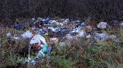 Miškelis paverstas šiukšlynu. Autoriaus nuotr.