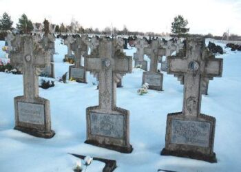 Troškūnų krašto partizanų panteonas.