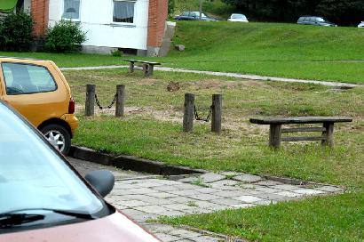 Unikali vaikų žaidimų aikštelė Pušyno mikrorajone. Nors vaikų žaidimų aikštelėms pinigų nėra, tačiau jų atsiranda vienkartiniams pompastiškiems renginiams, kuriais rajono valdžia giriasi nustebinsianti pasaulį, o vieno samdyto atlikėjo vienkartinis hono