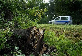Ugniagesiai gelbėtojai gerokai paplušėjo, kol nuo kelio Anykščiai – Kavarskas pašalino 17 medžių. Jono JUNEVIČIAUS nuotr.