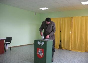Auleliuose rinkėjų aktyvumas 14 val. buvo beveik 40 proc. Vidmanto ŠMIGELSKO nuotr.