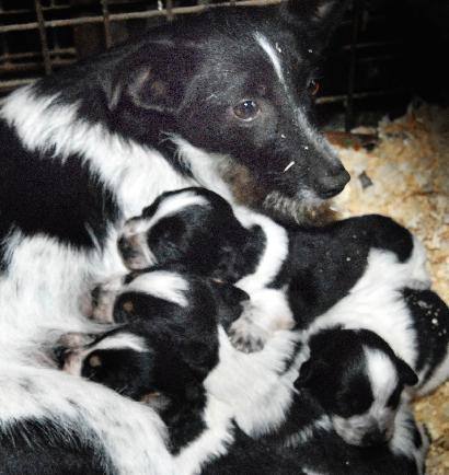 Kol kas mažyliams visą pasaulį atstoja mama... Jono JUNEVIČIAUS nuotr.