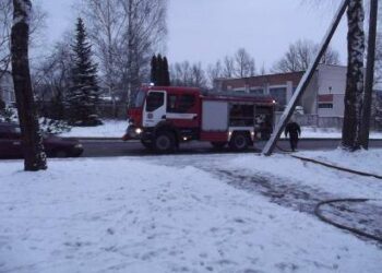 Nors ugniagesiai gelbėtojai išsivyniojo šlangas, jų pagalbos neprireikė. Autoriaus nuotr.