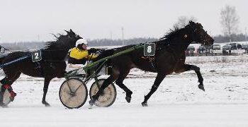 Dusetų hipodromo ledu skriejo ristūnai. Autoriaus nuotr.