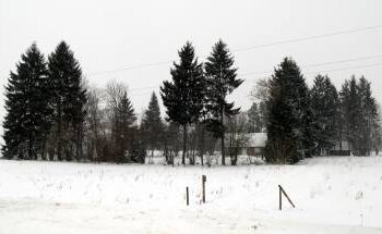 Šioje sodyboje gaisre naktį žuvo žmogus. Autoriaus nuotr.