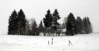 Šioje sodyboje gaisre naktį žuvo žmogus. Autoriaus nuotr.