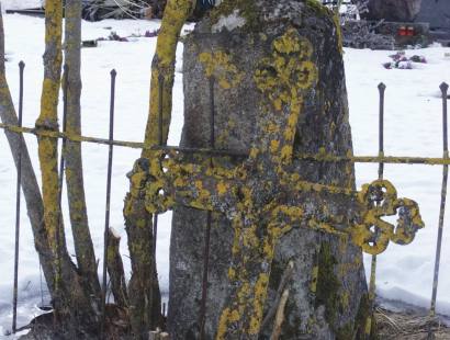 Šis metalinis kryžius nuo laiko supanašėjo su medžiais - tiek ant medžių, tiek ant kryžiaus želia samanos.