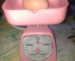 Vištos kiaušinis sveria 110 gramų...