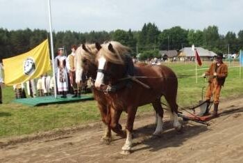 Naujas šiųmetės šventės „Bėk bėk, žirgeli“ akcentas – Lietuvos sunkieji arkliai