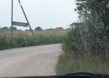 Vietinės reikšmės kelio atkarpoje Budriai - Šoveniai per apaugusias pakeles - prastas matomumas. Kavarsko seniūnas pažadėjo išspręsti bėdą, tik nežinia kada... J. Tvarionienės nuotr.
