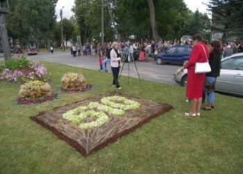 Svėdasų centras šventės dienomis buvo papuoštas floristiniais kilimais, kurių viename puikavosi skaičiai “510”. Autoriaus nuotr.