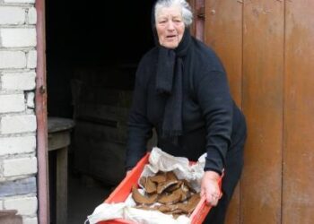 Neįgalioji Genovaitė Palavenienė pasakojo aveles labai mylėjusi, jas maitinusi duonele. Todėl ji iš pasisiūliusių padėti medžiotojų pageidavo gauti ne pinigus už išpjautas aveles, o kitas aveles.