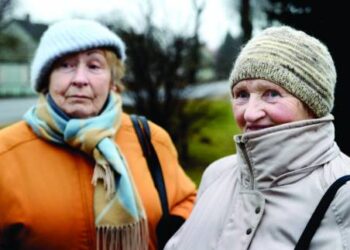 Vaidlonys – Troškūnų miesto kaimynai. Nors oficialiai laikoma, kad kaimas yra už 2 kilometrų į vakarus nuo Troškūnų, bet jei ne lentelė, nurodanti kaimo pavadinimą, nesuprastum, kad esi ne Troškūnuose. Nuo 1744 metų, kai Vaidlonys pirmą kartą paminėti rašytiniuose šaltiniuose, iki dabar Vaidlonys susiliejo su Troškūnų miestu.