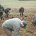 Pavarių girininkijos laukuose pasodinti ąžuolo bandomieji želdiniai vėliau bus atrenkami sėkilinėms plantacijoms.Autoriaus nuotr.