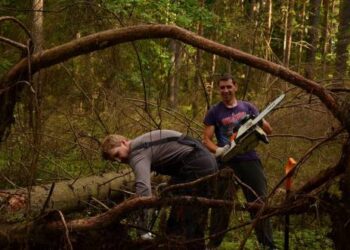 Miške reikėjo rasti medį, kuris išvirto su visomis šaknimis, Juk blukas - tai visų pirma kelmas.