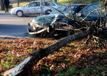 Automobilio nulaužto medžio ir užvirtusio ant variklio dangčio šakas nupjaustė ugniagesiai gelbėtojai ir patraukė medį į šoną.Jono JUNEVIČIAUS nuotr.