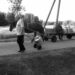 Kiekvienas savu transportu - iš pieninės grįžta Kęstutis Žvirblis ir Jonas Klimas.