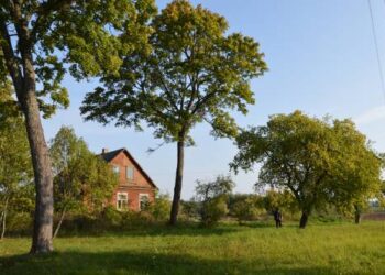 Ramus, jaukus, šalia gerų kelių esantis senovinis  „gatvinis“ kaimas, kokių Lietuvoje išlikę ne taip jau ir daug, vilioja ir pirkėjus, kurie čia norėtų apsigyventi.