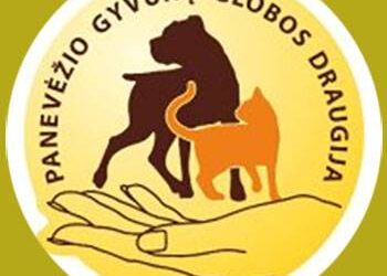 Panevėžio gyvūnų globos draugijos adresas internete - www.pagalbagyvunams.lt/ Čia galima surasti sąskaitos numerį, kur galima pervesti savo auką beglobių gyvūnų priežiūrai.