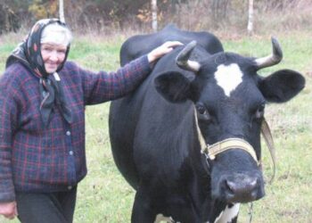 Istorinėje sodyboje tebegyvenanti buvusi gimtosios kalbos mokytoja Stasė Kazlauskienė mėgsta ir geras knygas, ir rupų sodžiaus gyvenimą.