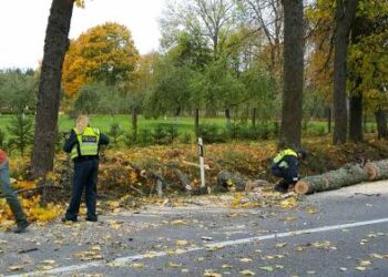 Nuo kelio šalinti nulūžusio medžio gabalus teko patiems policininkams.