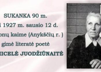 Liudvikos ir Stanislovo Didžiulių viešosios bibliotekos nuotr.
