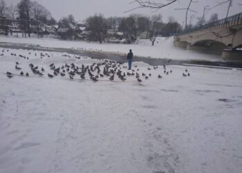 Anykščių regioninio parko nuotrauka