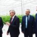 Lietuvos Respublikos Seimo pirmininkas Viktoras Pranskietis (antras iš kairės)  Audriaus ir Valdo Juškų šiltnamiuose. Autoriaus nuotr.