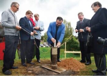 2016 m. rugsėjo 27-ąją ant Šeimyniškėlių piliakalnio vyko pilies statybų pradžios iškilmės, sakytos skambios kalbos, užkasta statybų pradžią įamžinusi kapsulė su deklaracijomis, centais ir rąsto gabalėliu, kuris yra neva iš istorinės Vorutos pilies. Per statybų pradžios iškilmes pirmaisiais smuikais grojo Anykščių rajono meras Kęstutis Tubis (antras iš dešinės) ir rangovas Povilas Gurklys (centre).