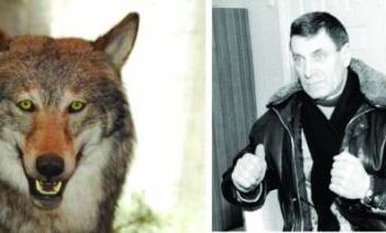 Penkaisdešimt metų medžiojantis Jonas Paliulis - vienintelis medžiotojas, šiemet Anykščių rajone nušovęs vilką.