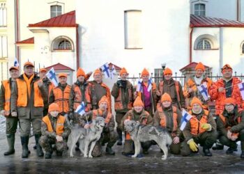 Suomių medžiotojai su savimi atsivežė ir šunis - švedų elkhundus (Jämthund), kurie gali medžioti net briedžius ir meškas.