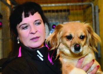 Panevėžio Gyvūnų globos draugijos vadovė Rūta Liberienė ir šių – Geltonojo Žemės Šuns – metų talismanas, kuris labai laukia jį mylinčios širdies ir šiltų namų.
