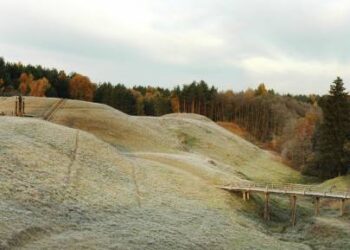 Kažkur šalia Šeimyniškėlių piliakalnio buvo sumanyta sodinti net 1000 ąžuolų girią, tačiau tai tik ir liko fantazija...