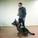Dešimt metų žmones gelbėjęs, narkotikų ir nusikaltelių ieškojęs Anykščių policijos šuo Ūkas išlydėtas į  pensiją. Vidmanto ŠMIGELSKO nuotr.