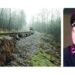 Taip atrodo siauruko atkarpa, kuri sugadins siauruko turistų sezoną. Per metus šiais bėgiais keliaudovo apie 10 000 tūkstančių turistų.                                                                  Vaido PUPELIO nuotr. Laikinasis VšĮ „Aukštaitijos siaurasis geležinkelis“ direktorius Vismantas Užalinskas skaičiuoja, kad vien geologiniams slenkančio siauruko bėgių pylimo tyrimams teks išleisti 20 000 Eur.