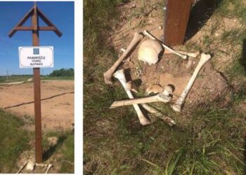 Radinys šalia Paberėžių kaimo kapinaičių ženklo šokiravo Skiemonių seniūnijos ūkininką. Realiausia, jog žmonių kaulus iškultivavo kitas šios seniūnijos ūkininkas.„Anykštos“ skaitytojo nuotr.