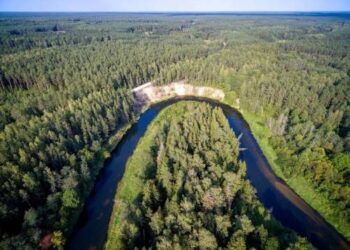Nuotraukos autorius: Gintaras Stalauskas