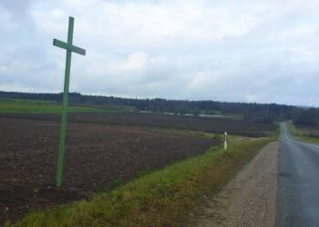 Vienas pirmųjų žaliųjų kryžių  pastatytas šalia kelio Radiškis - Anykščiai - Rokiškis, Debeikių seniūnijos Leliūnų kaimo laukuose.