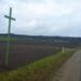 Vienas pirmųjų žaliųjų kryžių  pastatytas šalia kelio Radiškis - Anykščiai - Rokiškis, Debeikių seniūnijos Leliūnų kaimo laukuose.