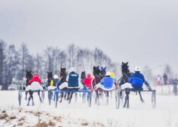Vytauto PILKAUSKO nuotr.