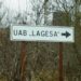 Po UAB ,,Lagesa“ bankroto jos vietoje, kaip tikisi savininkai, turėtų atsirasti nauja įmonė.
