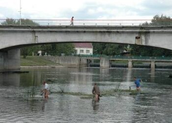 darbininkai šienauja Šventąją