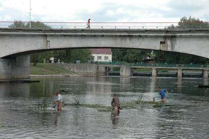 darbininkai šienauja Šventąją