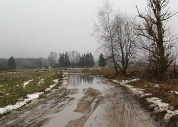 Vėl pamatysime sniegą ir balas?