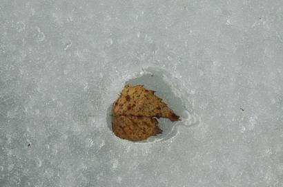 Žūklė ant ledo jau pasibaigė