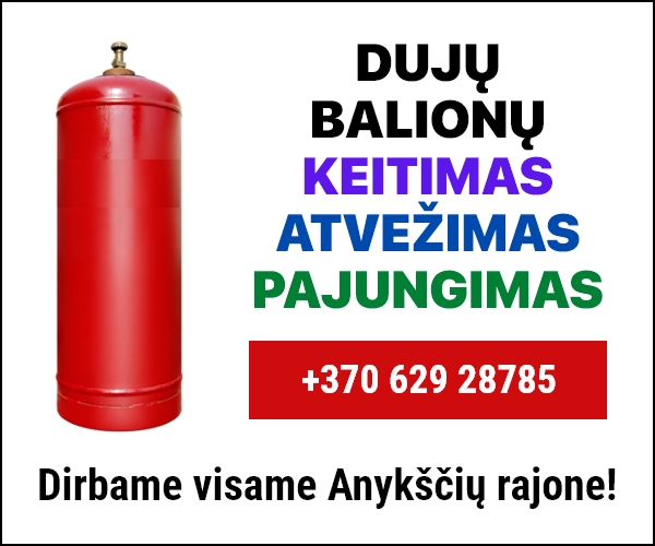 Duju balionai 300×250@2x