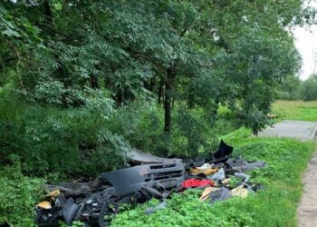 Anykščių ir Ukmergės rajonų sankirtoje užfiksuoti vaizdai. Nuotrauka iš feisbuko